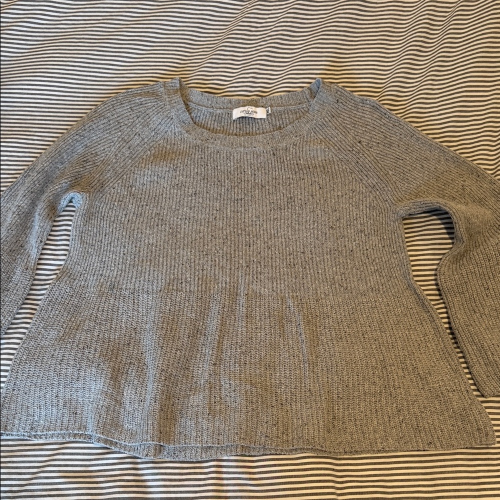 Carly Jean Los Angeles Women's Gray Crew Neck Sweater